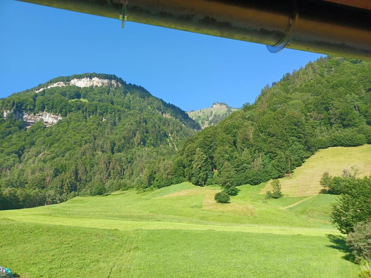Apartment "Johann" Aktivurlaub Im Bregenzerwald 멜라우 외부 사진